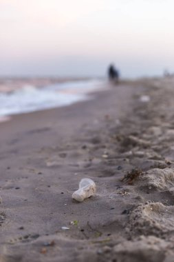 Deniz kıyısında küçük bir plastik bardak.