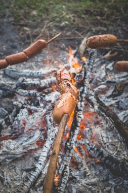 Ormanda bir yangında kızarmış sosis yemek. Tonlu, stil fotoğraf.