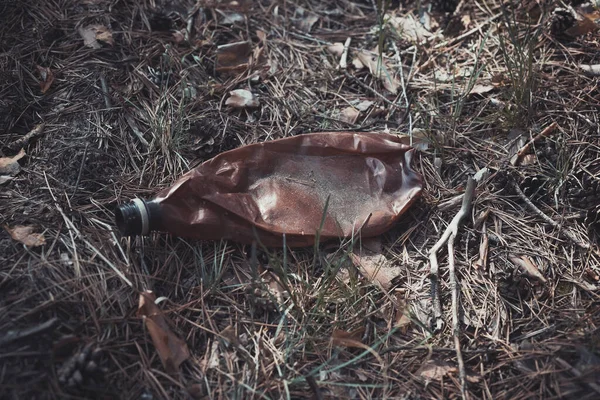 Bouteille Plastique Brun Sur Sol Dans Une Forêt Pins Concept — Photo