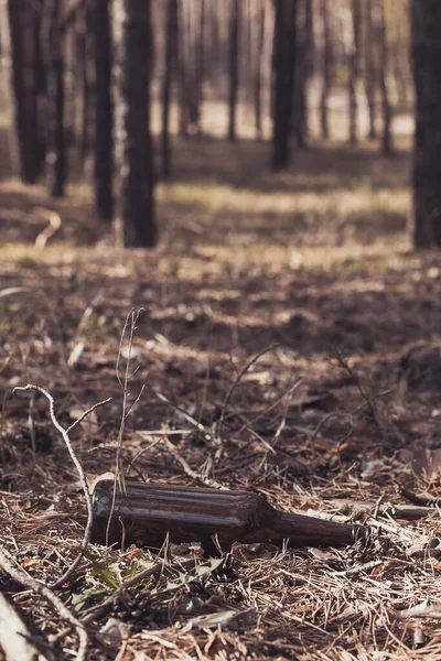 Botella Vidrio Marrón Suelo Bosque Pinos Concepto Contaminación Ambiental — Foto de Stock