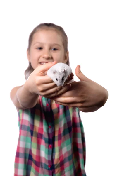 Schattig Klein Meisje Met Witte Hamster Geïsoleerd Witte Achtergrond — Stockfoto