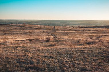 Tarladaki toprak yol eski köye çıkıyor..