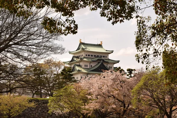 Nagoya Kalesi bahar