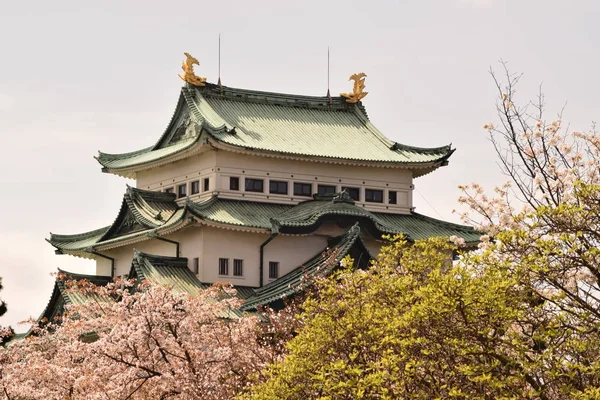 Nagoya Kalesi bahar