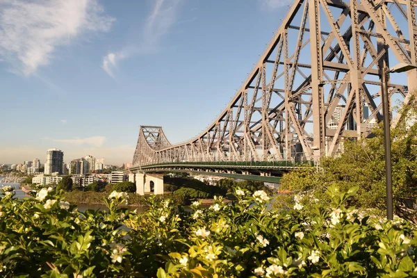 Hikaye köprü Brisbane