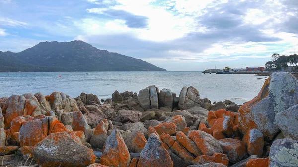 Bay yangınlar Tasmania'deki / daki
