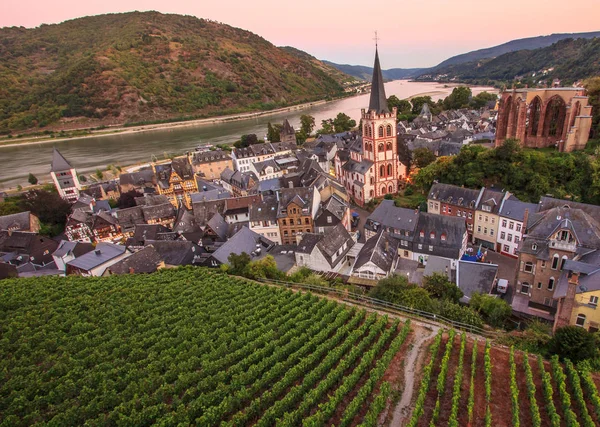 Bacharach, Rhendalen, Tyskland. City Panorama vy med floden Rhen och vingård på twilight — Stockfoto