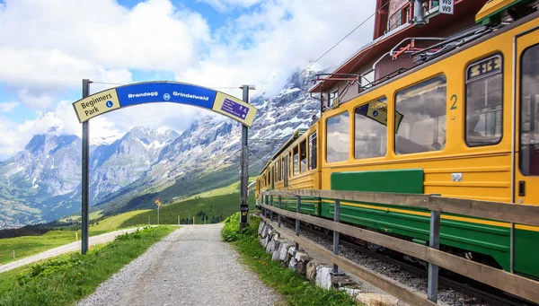 Sinal de ponto de partida para começar a trilha a pé com vista para a ferrovia suíça wengernalpbahn trem saindo da estação Kleine Scheidegg para Grindelwald, Suíça. Trilha de caminhada ao longo do prado fresco verde com montanhas cobertas de neve idílica como pano de fundo — Fotografia de Stock