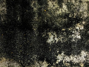 Beton duvar arka plan doku duvar eski yaşlı yüzey, onun ayrıntılı zemin tasarım closeup soyut tarihinde mantarlar tarafından kapsanan binanın