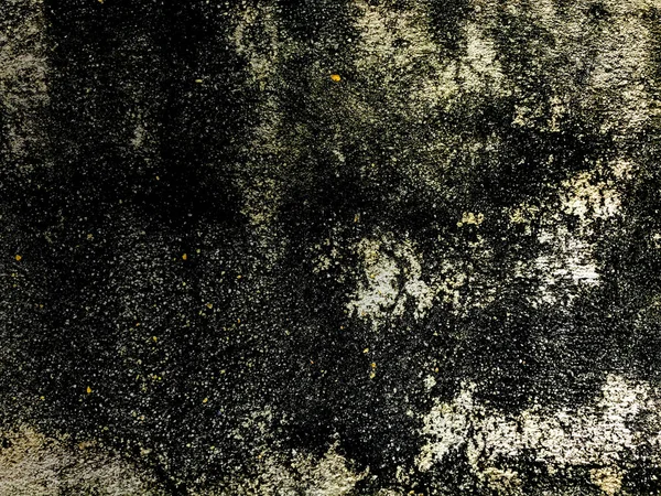 Beton duvar arka plan doku duvar eski yaşlı yüzey, onun ayrıntılı zemin tasarım closeup soyut tarihinde mantarlar tarafından kapsanan binanın