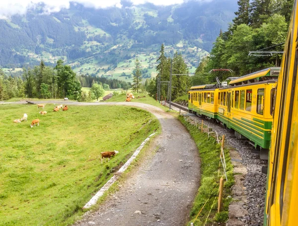 Bela paisagem panorâmica suíça vista de uma janela de trem . — Fotografia de Stock