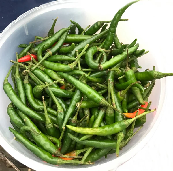 Pimenta caiena, pimenta pimenta de esporão, pimenta de alimentação prolongada, pimenta de esporão — Fotografia de Stock