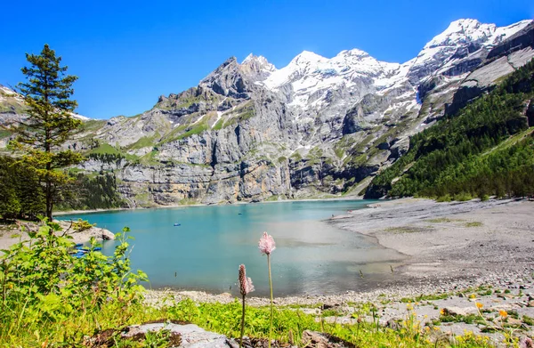 Krásný letní den pohled tyrkysové Oeschinensee (Oeschinen lake), Unesco regionu, Kandersteg, Bernese Oberland, Švýcarsko, Evropa. — Stock fotografie
