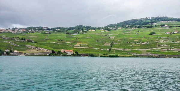 Vinhedo em aterro do Lago de Genebra em Vevey, Swiss Riviera, Suíça . — Fotografia de Stock