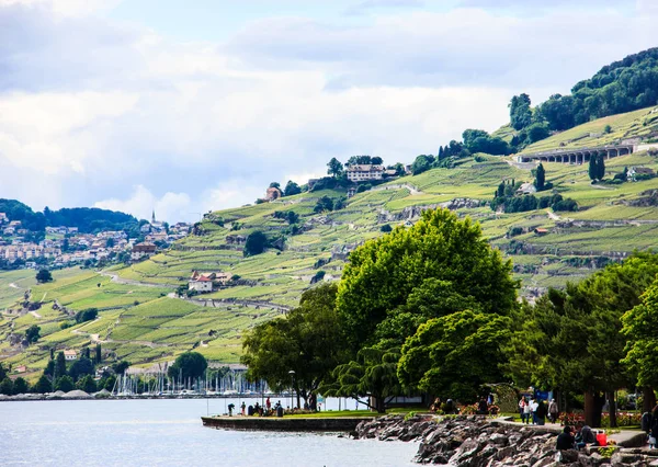 Lindas paisagens de verão do Lago de Genebra, Terraços e Alpes de Lavaux, Aldeia Lutry, Suíça, Europa . — Fotografia de Stock