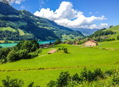 Bir güzel yaz günü, Thun, İsviçre, Europe Thunersee (Lake Thun) set of renkli görünüm.