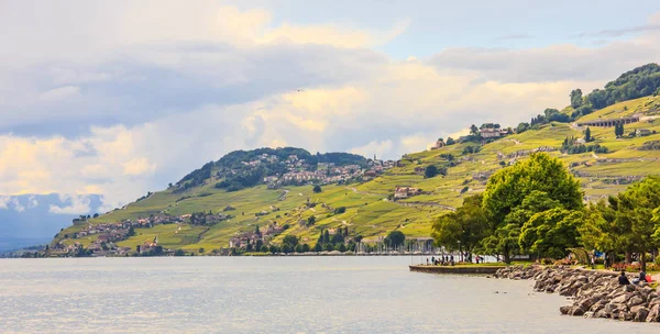Güzel yaz manzara Cenevre Gölü, Lavaux bağ Teras ve Alpler, Lutry Köyü, İsviçre, Europe. — Stok fotoğraf