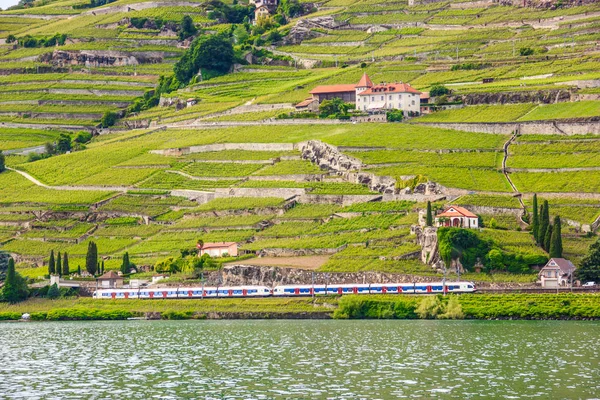 Linda paisagem de verão do Lago de Genebra, Terraços vinhedos de Lavaux e Alpes com trens passando, Riviera suíça, Suíça, Europa . — Fotografia de Stock
