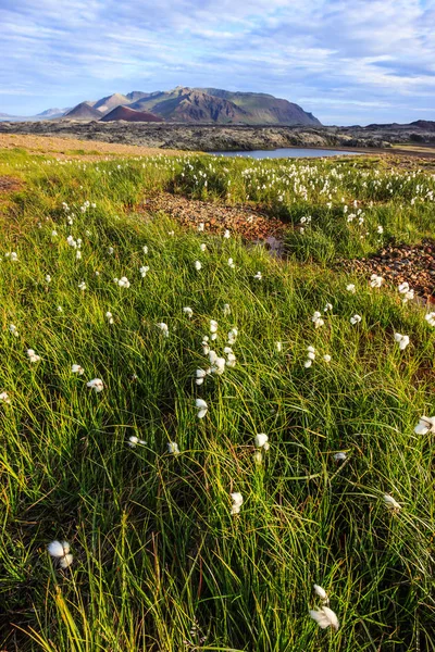 Vertikální krásné letní islandský krajina panoramatický pohled s pastvinami, barevných horských masivů a krásná obloha jako pozadí. Island, Evropa — Stock fotografie