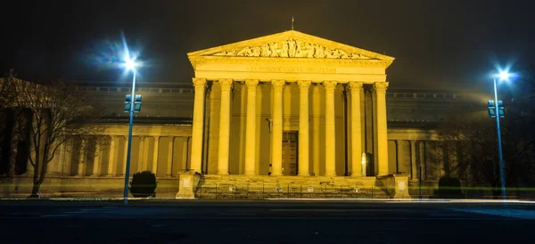Vista nocturna del Museo de Bellas Artes de Budapest en la Plaza de los Héroes, construido en estilo ecléctico-neoclásico. La colección del museo se compone de arte internacional . — Foto de Stock