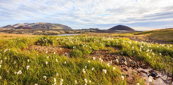 Krásné letní islandský krajina panoramatický pohled s pastvinami, barevných horských masivů a krásná obloha jako pozadí. Island, Evropa — Stock fotografie