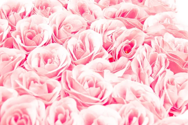 Düğün kavramı için renkli pembe Gül çiçek background. Soyut, davetiye, tebrik, kutlama, aşk, romantik, uğurlu olaylar için fikir.