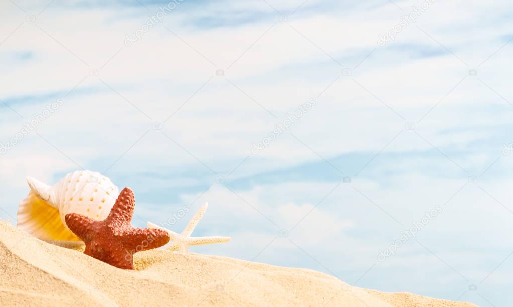 Summertime Season, colorful natural seashell and starfish on sandy beach with sunny colorful blue sky background and copy space. Traveling and feeling lonely, cheering up, rest, refresh and relaxation