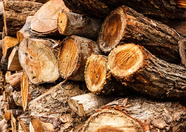 Wooden Log Pile Cross Sectional Background — Stock Photo, Image