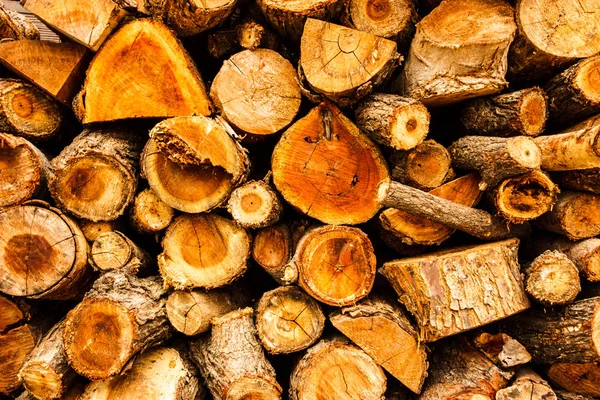 Wooden Log Pile Cross Sectional Background — Stock Photo, Image