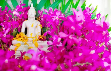 Bir Buda resim, ibadet Songkran Festivali sırasında bir jesti üzerine su serpin.