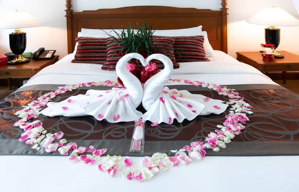 Romântico Quarto Interior Beijando Swan Origami Toalhas Polvilhado Fresco Rosa — Fotografia de Stock