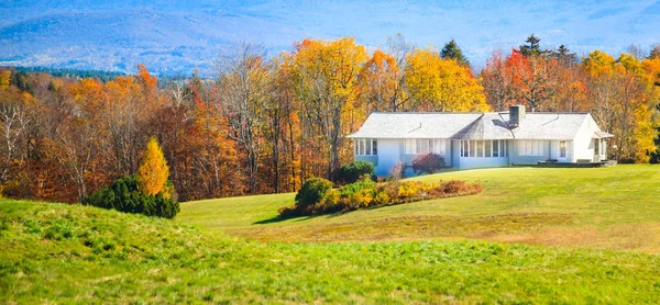 Selective Focused White Rural Holiday Modern House surrounded by Stock Image