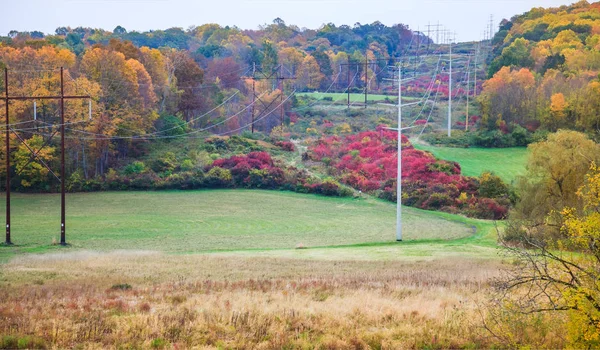 Hochspannungs Stromverteilungssystem Strommasten Der Ländlichen Landschaft Mit Bunten Herbst Farbe — Stockfoto