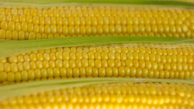 taze mısır koçanı