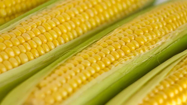 Mazorca de maíz fresco —  Fotos de Stock
