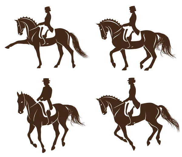 Set of dressage horses with rider — Stock Vector