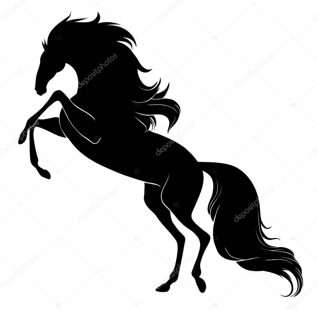 Galloping horse with long mane and tail