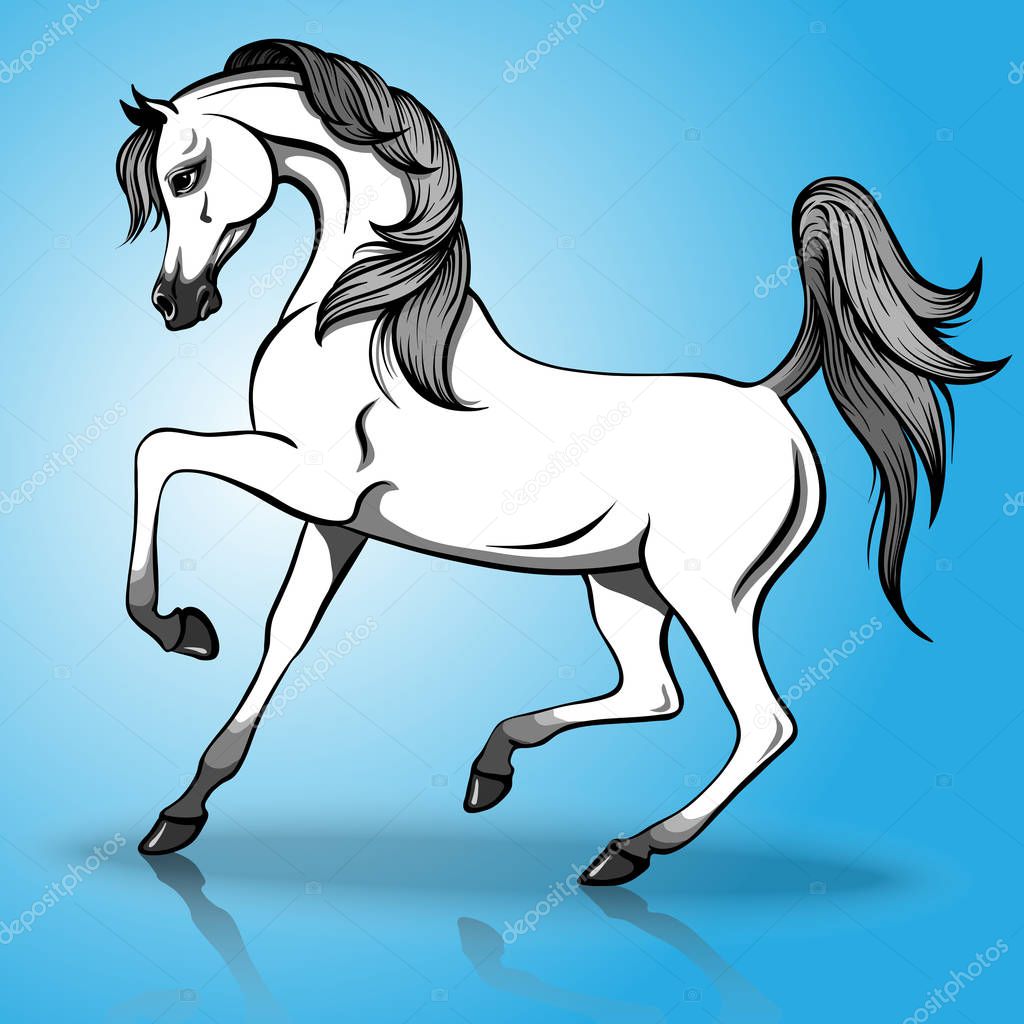 Beautiful arabian horse