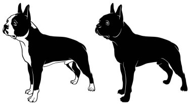 Boston korkunç seti