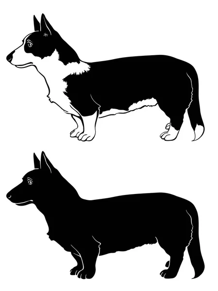 Set di cani Corgi — Vettoriale Stock