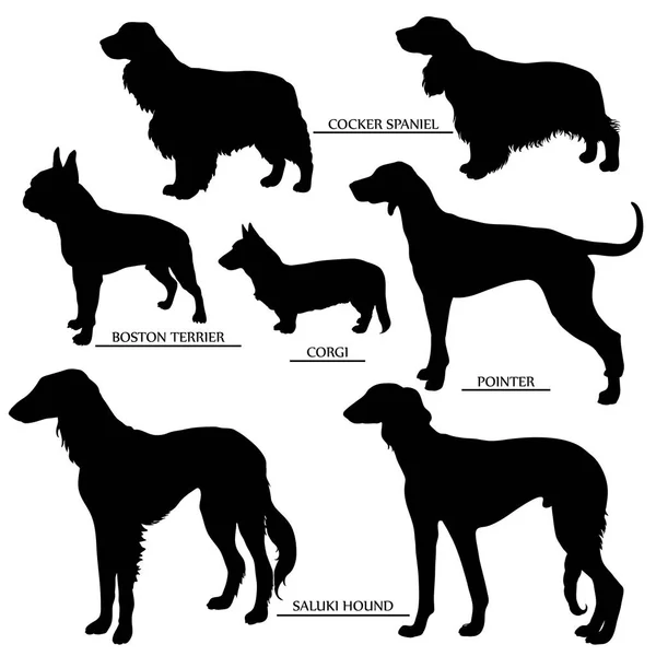 Set sagome cane — Vettoriale Stock