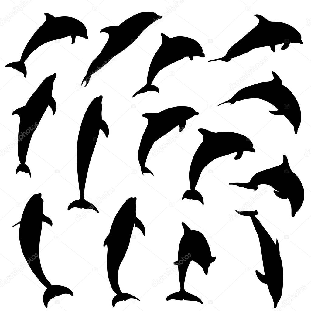 Jumping dolphins silhouettes