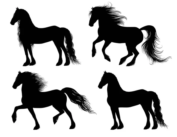 Friesian horse silhouettes — Stock Vector
