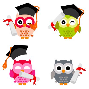 Güzel baykuş koleksiyonu