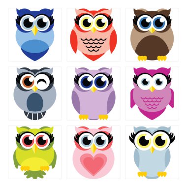 Güzel baykuş koleksiyonu