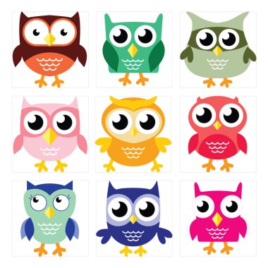 Güzel baykuş koleksiyonu