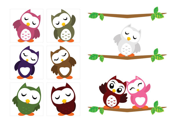 Funny Owl Collection