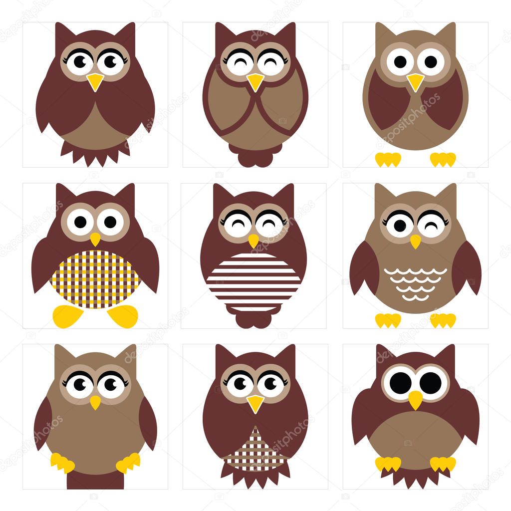 Nice Owl Collection
