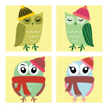 Komik baykuş koleksiyonu