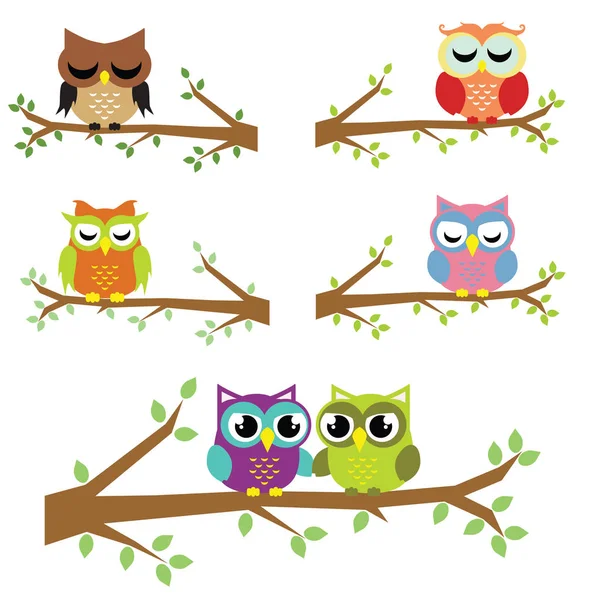 Big Collection of Funny Owl — Stock Vector